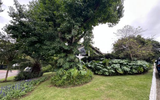 Casa – Ecoville